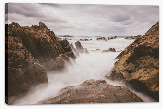 Caladenia_Landscape_Canvas_90Wx60H_Bedhead_DarkBlueRoom