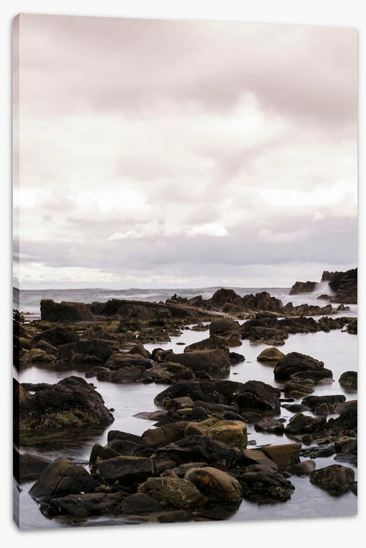 Caladenia_Potrait_Canvas_60Wx90H_BedroomWall_PinkRoom