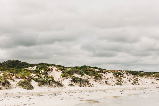 Pimelea_Bedhead_Landscape_Canvas_W90xH60_MasterBr