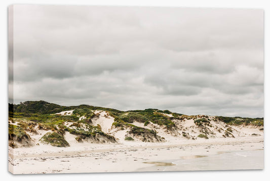 Pimelea_Bedhead_Landscape_Canvas_W90xH60_MasterBr