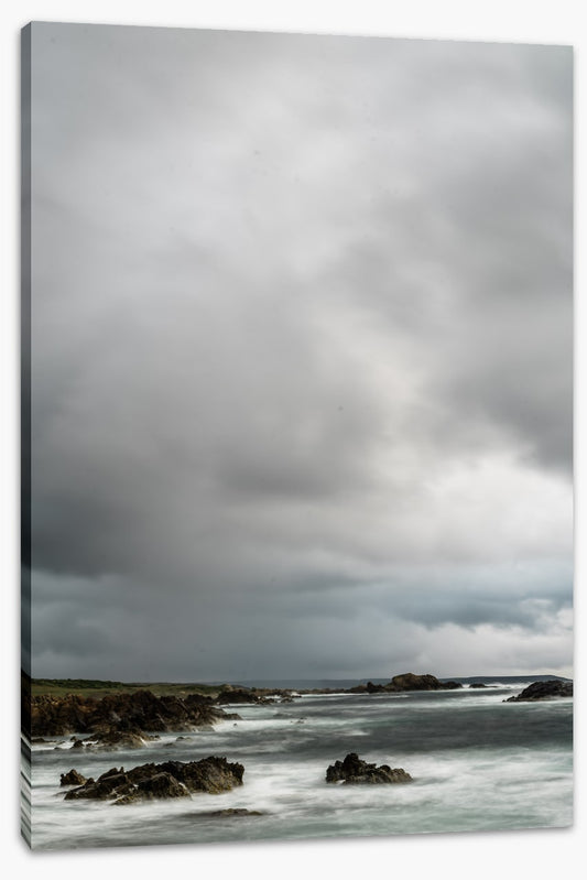 Caladenia_Wall_Portrait_Canvas_W60xH90_MasterBedWall