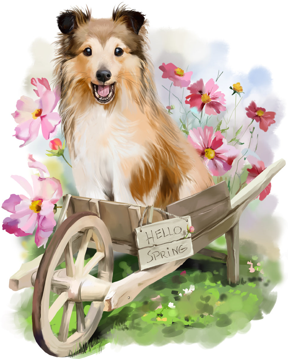 Spring puppy