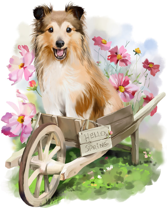 Spring puppy