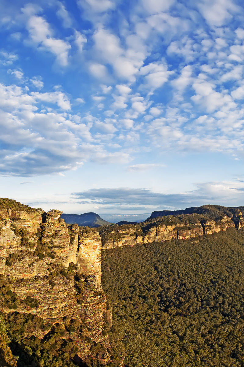 Narrow Neck plateau (Custom)