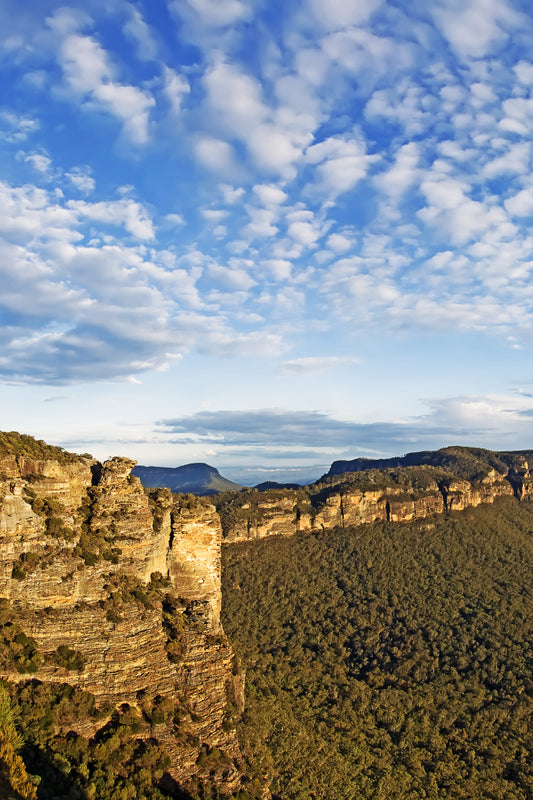 Narrow Neck plateau (Custom)