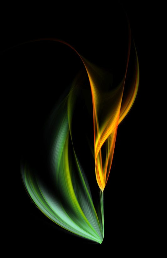 One yellow tulip (Custom)