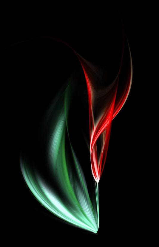 One red tulip (Custom)