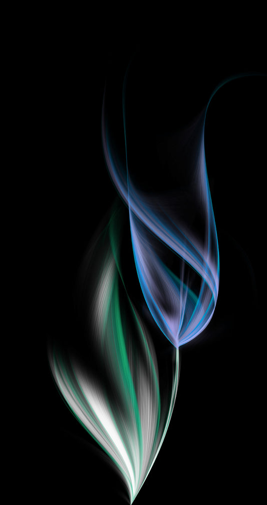 One blue tulip (Custom)
