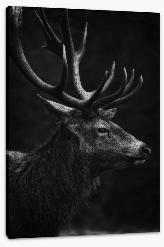 Stag night (Custom)