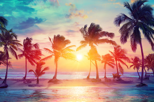 Summer on sunset (Custom)