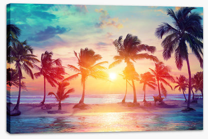 Summer on sunset (Custom)