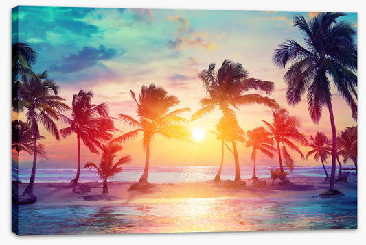 Summer on sunset (Custom)