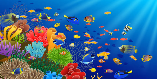 Under The Sea (Custom)
