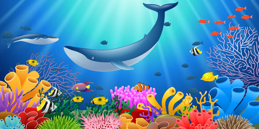 Humpback reef  (Custom)