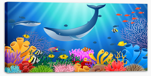 Humpback reef  (Custom)