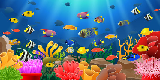 Sunbeams, fish and coral (Custom)