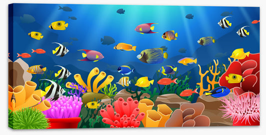 Sunbeams, fish and coral (Custom)
