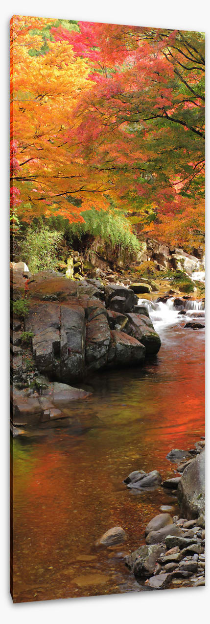 Autumn maple stream (Custom)