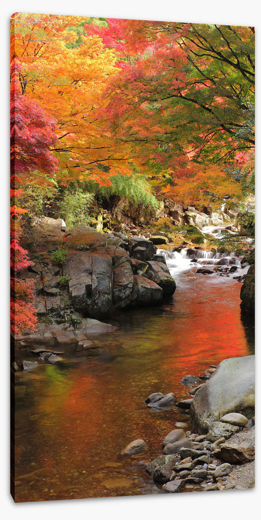 Autumn maple stream (Custom 2)