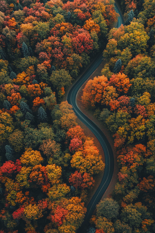 The road to autumn